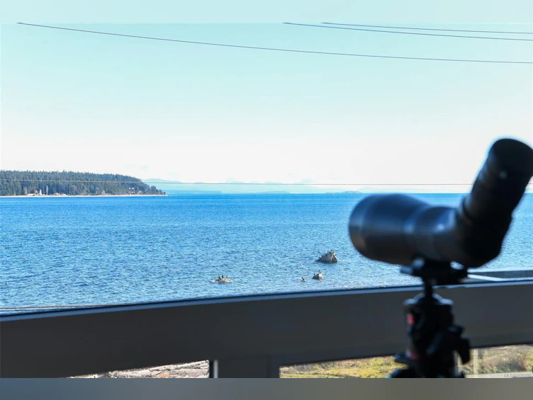 302-536 Island Highway, Campbell River, BC, V9W 1A5 - 2
