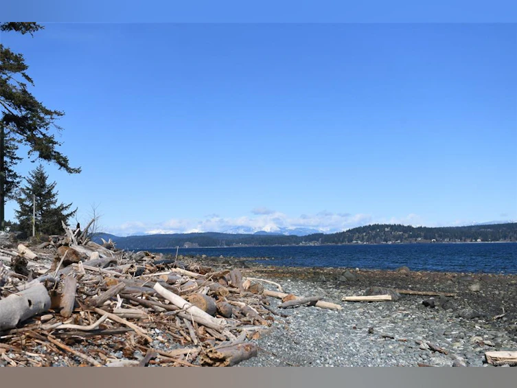 302-536 Island Highway, Campbell River, BC, V9W 1A5 - 29