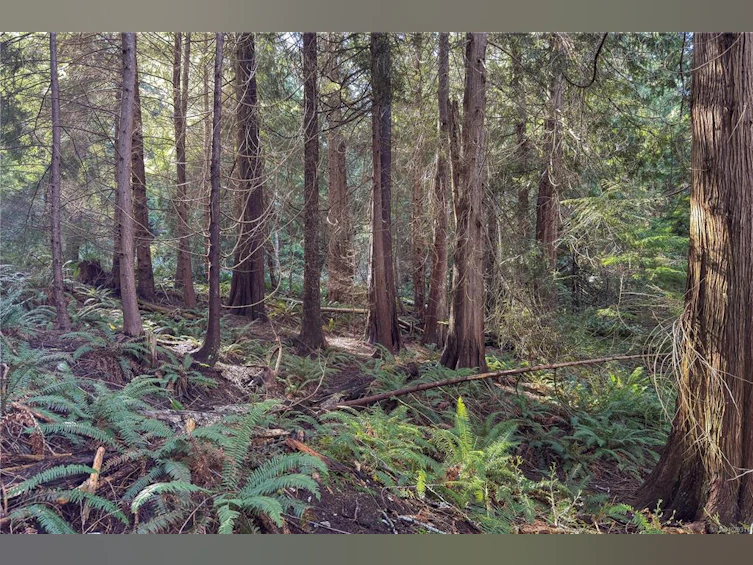 0 Belwood Road, Cortes Island, BC, V0P 1K0 - 21