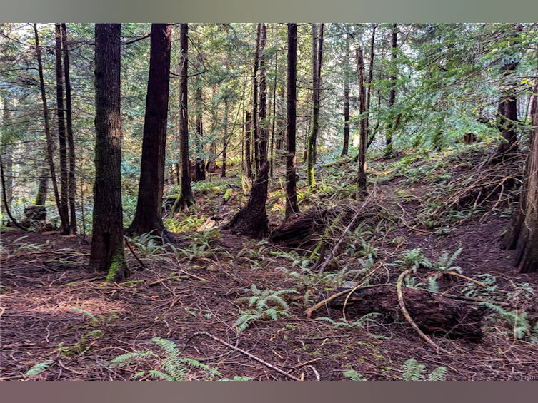0 Belwood Road, Cortes Island, BC, V0P 1K0 - 24