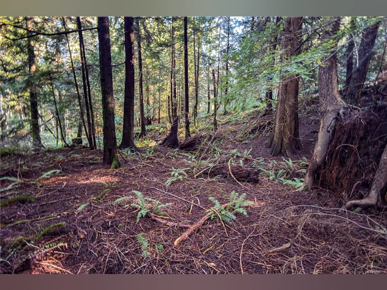 0 Belwood Road, Cortes Island, BC, V0P 1K0 - 26