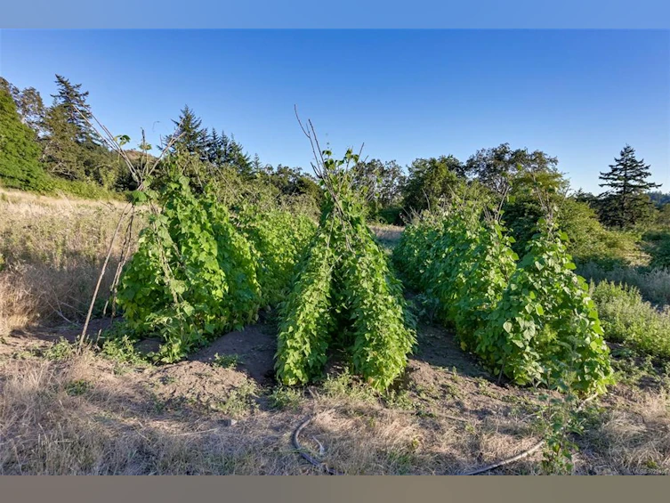 4589 Blenkinsop Road, Saanich, BC, V8X 2C7 - 36