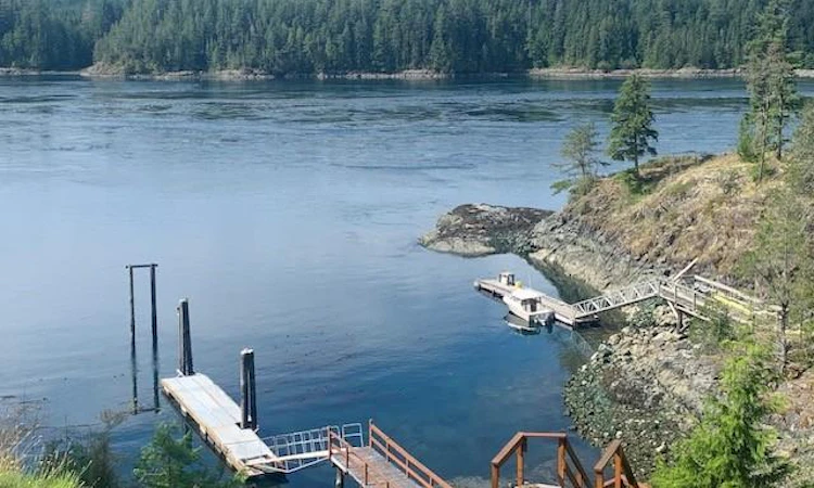 Lot 49 Busby Island