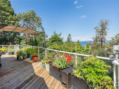 3259 Dolphin Drive - 5