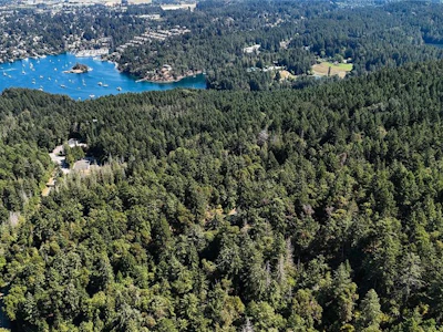 Lot 4 Willis Point Road - 4