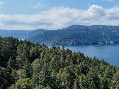 Lot 2 & 4 Willis Point Road - 5