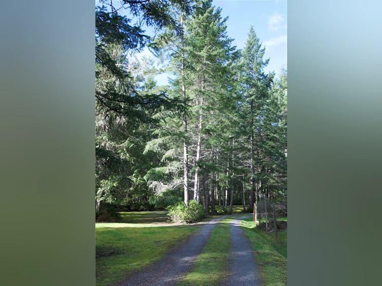 765 Horseshoe Road, Gabriola Island, BC, V0R 1X3 - 37