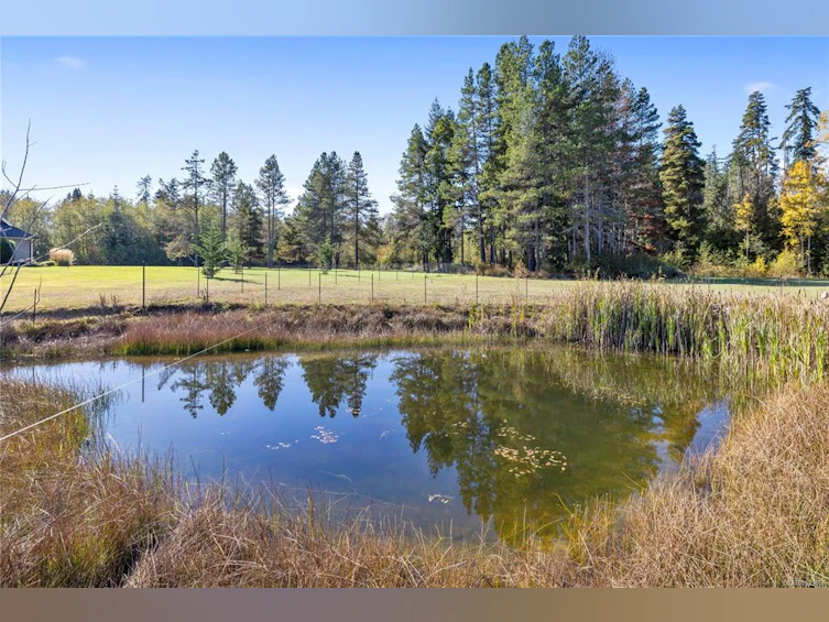 939 Virginia Road, Coombs, BC, V0R 1M0 - 58