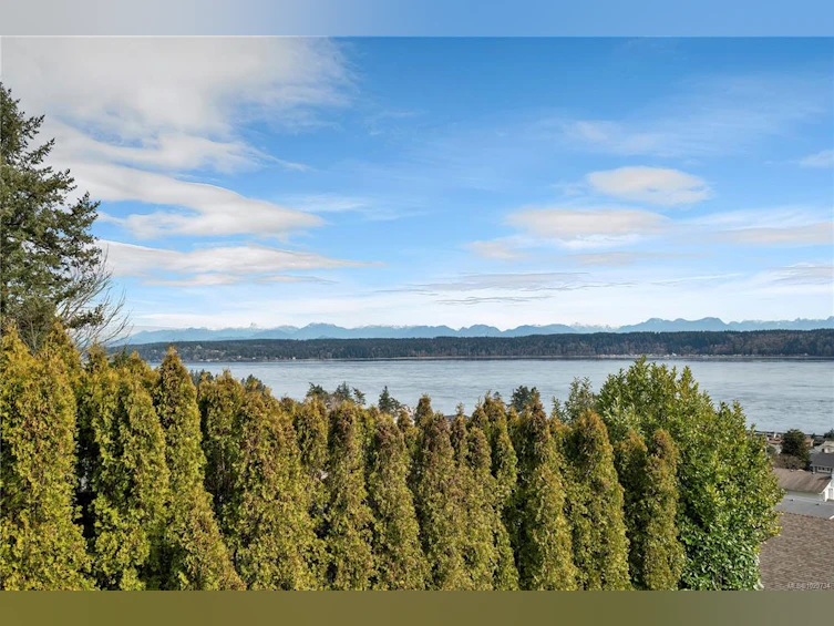 241 S Alder Street, Campbell River, BC, V9W 2M9 - 60