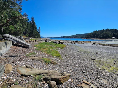 Lot 4 Maple Bay Road - 2