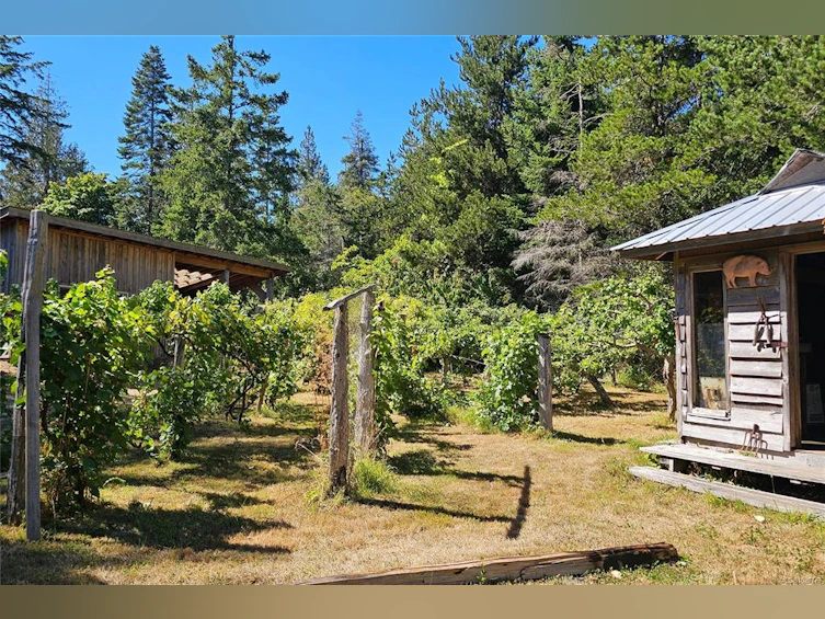 Lot 4 Maple Bay Road, Lasqueti Island, BC, V0R 2J0 - 8
