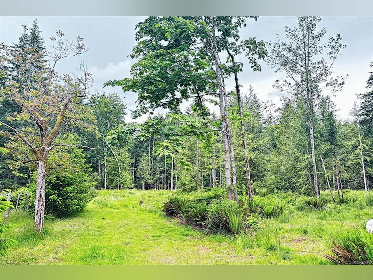 Lot B W Island Highway, Bowser/Deep Bay, BC, V0R 1G0 - 5