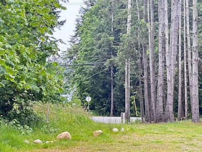 Lot B W Island Highway - 3