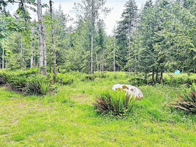 Lot C W Island Highway - 4