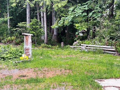 Lot C W Island Highway - 5