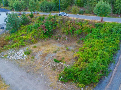 431 Thetis Drive - 5