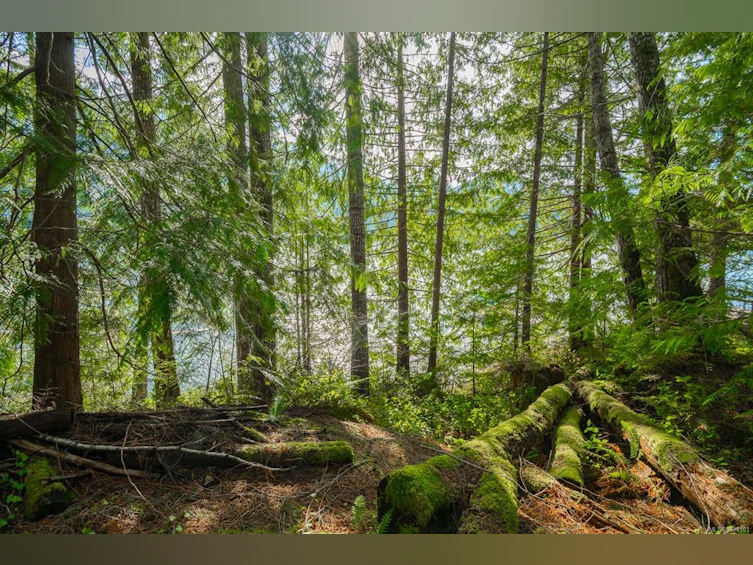 19320 Pacific Rim Highway, Port Alberni, BC, V9Y 8Z9 - 26