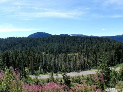 11 Nordic Road - 5