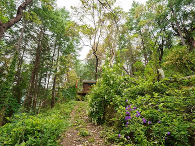 Lot 80 Ruxton Island - 5