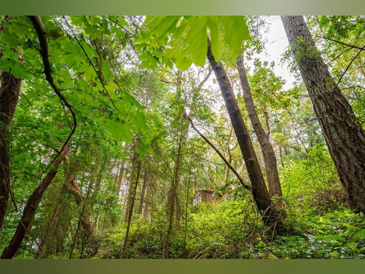 Lot 80 Ruxton Island, Ruxton Island, BC - 44