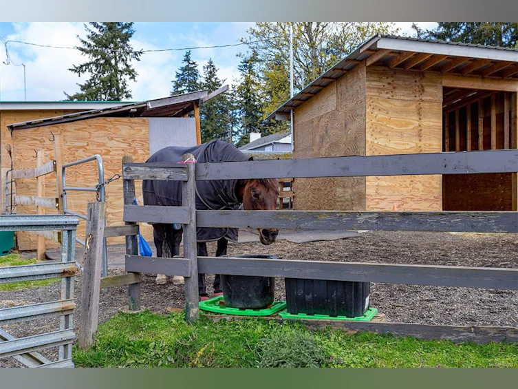 4040 Holland Avenue, Saanich, BC, V8Z 5K1 - 74