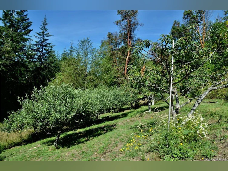 122 Jasper Road, Salt Spring Island, BC, V8K 2X8 - 60