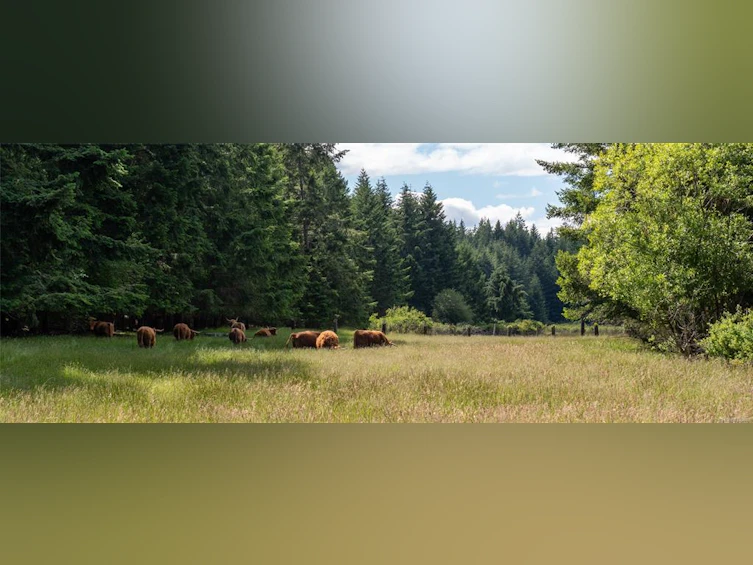 909 South Road, Gabriola Island, BC, V0R 1X0 - 10