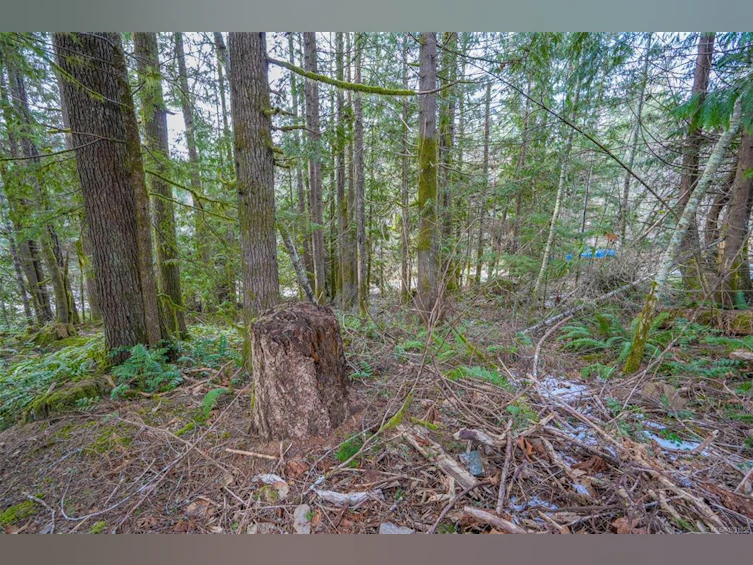 10440 Wilson Road, Port Alberni, BC, V9Y 9A3 - 24