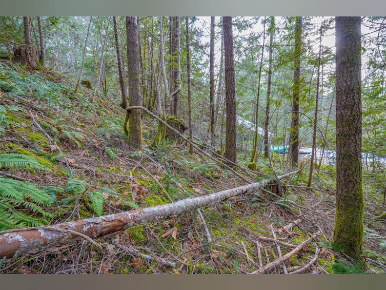 10440 Wilson Road, Port Alberni, BC, V9Y 9A3 - 27