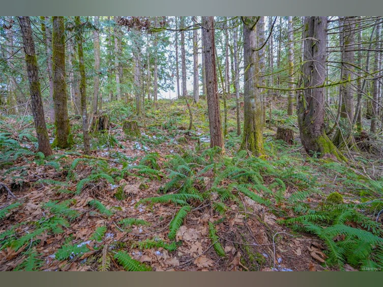 10440 Wilson Road, Port Alberni, BC, V9Y 9A3 - 29