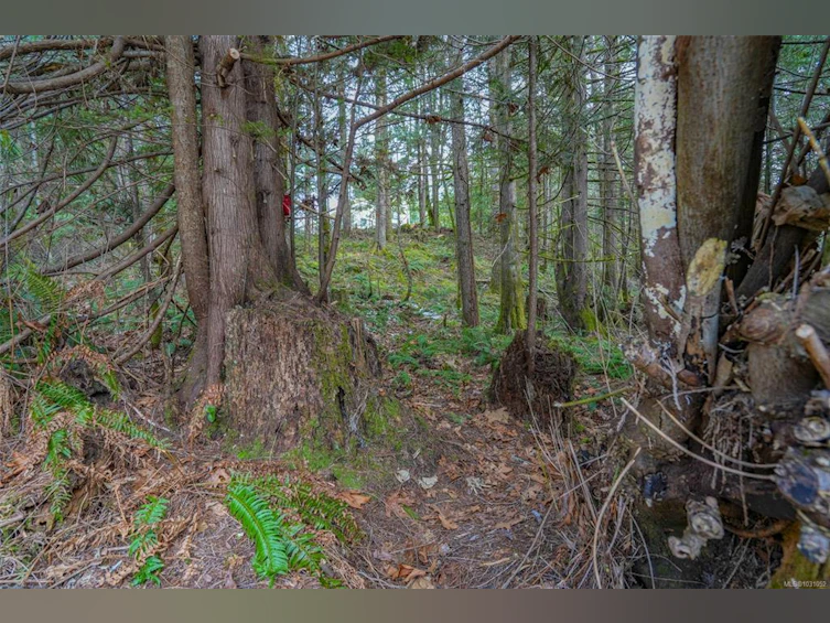 10440 Wilson Road, Port Alberni, BC, V9Y 9A3 - 31