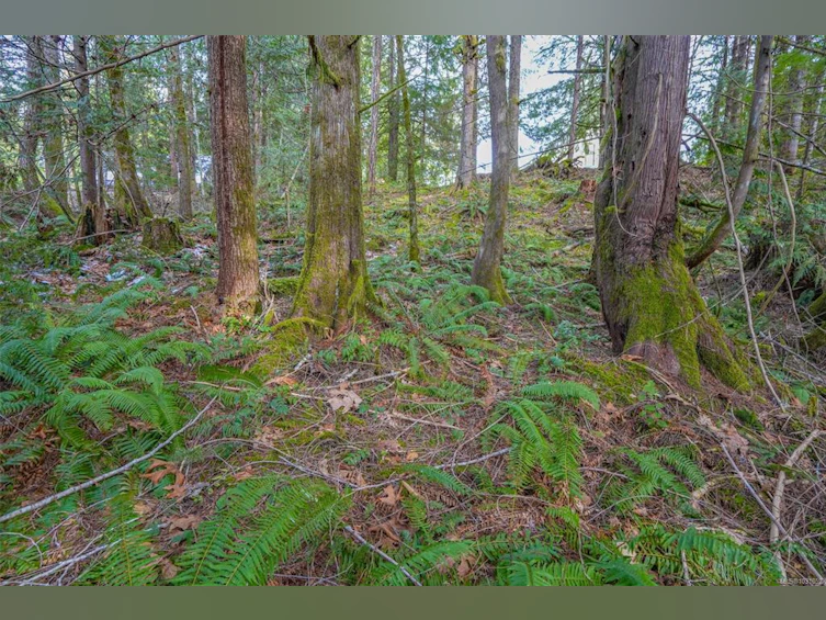 10440 Wilson Road, Port Alberni, BC, V9Y 9A3 - 28