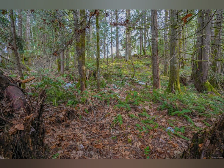 10440 Wilson Road, Port Alberni, BC, V9Y 9A3 - 22