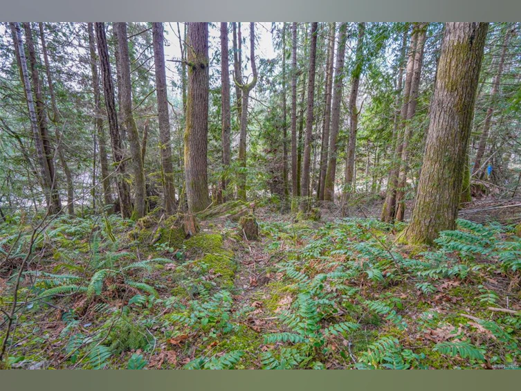 10440 Wilson Road, Port Alberni, BC, V9Y 9A3 - 25
