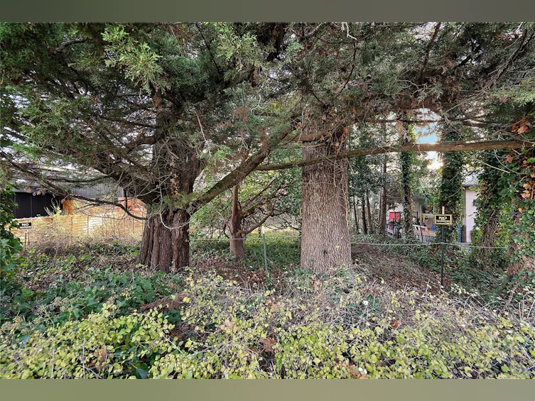10211 Resthaven Drive, Sidney, BC, V8L 3H2 - 19