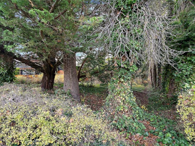 10211 Resthaven Drive - 4