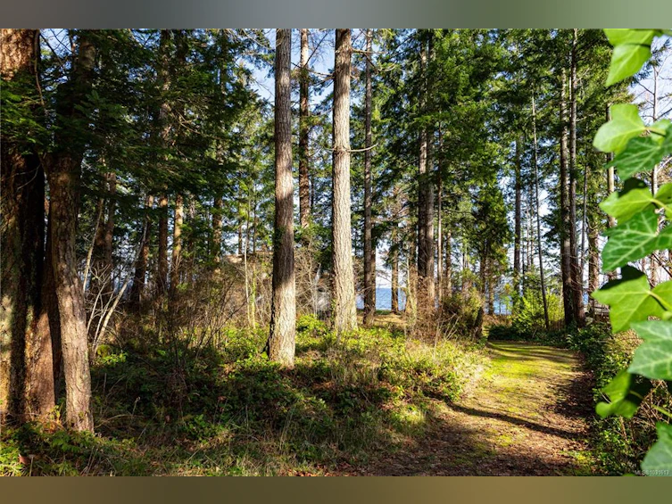 4115 Twigg Road, Campbell River, BC, V9H 1E9 - 79