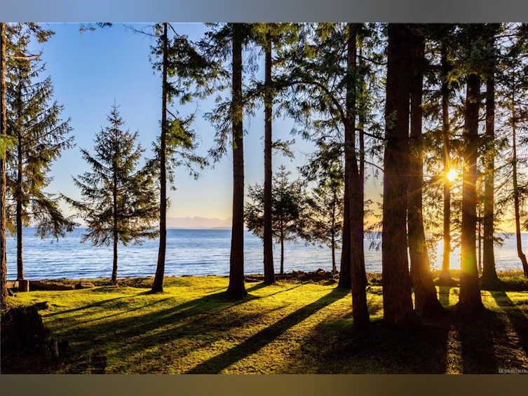 4115 Twigg Road, Campbell River, BC, V9H 1E9 - 73