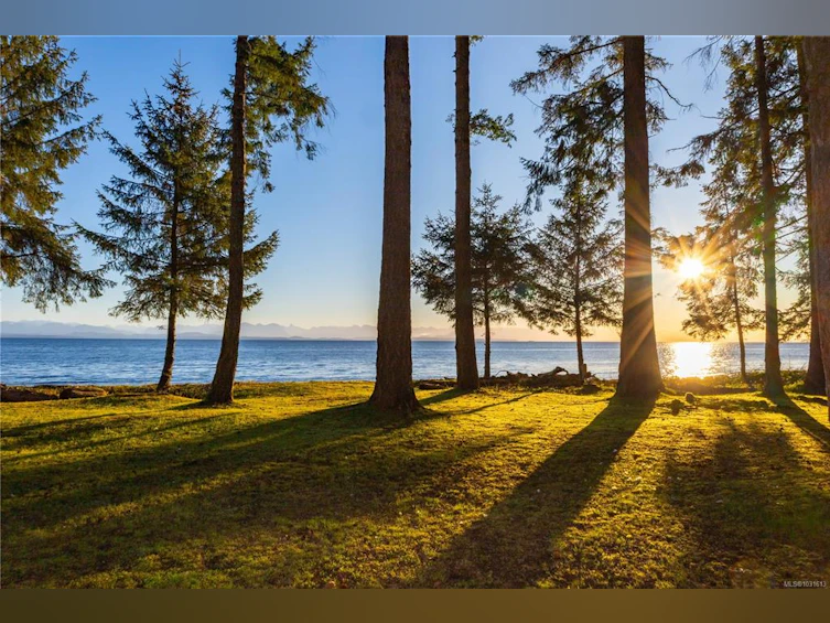 4115 Twigg Road, Campbell River, BC, V9H 1E9 - 11