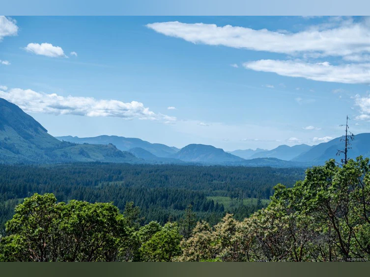 5876 Stoltze Road, Lake Cowichan, BC, V9L 6H7 - 8