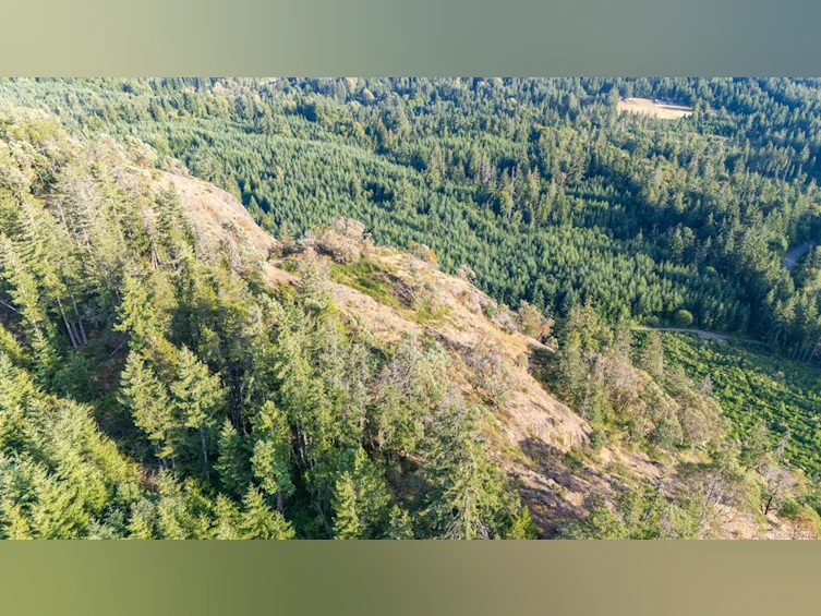 5876 Stoltze Road, Lake Cowichan, BC, V9L 6H7 - 53