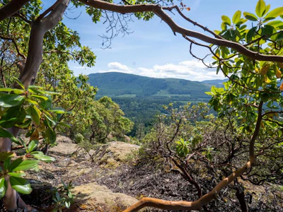 5876 Stoltze Road - 3