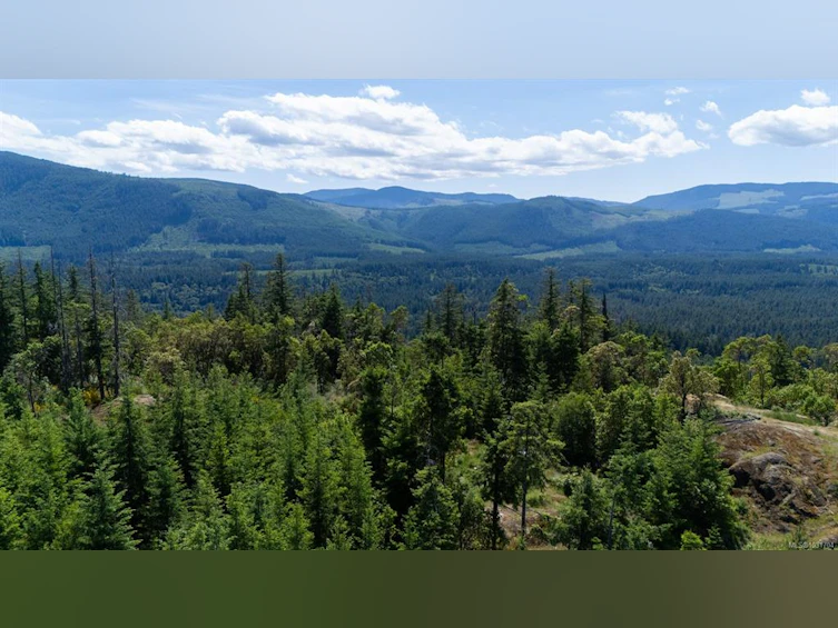 5876 Stoltze Road, Lake Cowichan, BC, V9L 6H7 - 17