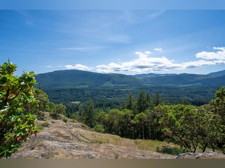 5876 Stoltze Road, Lake Cowichan, BC, V9L 6H7 - 7