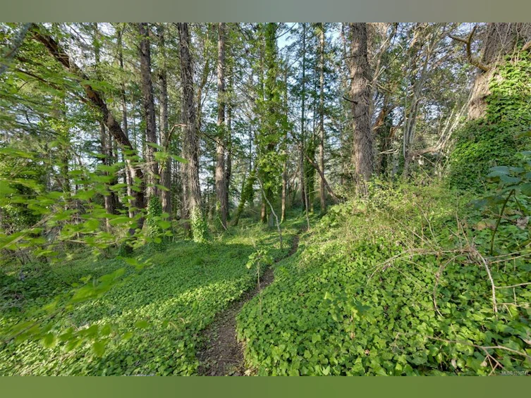 6587 West Saanich Road, Central Saanich, BC, V8M 1W8 - 57