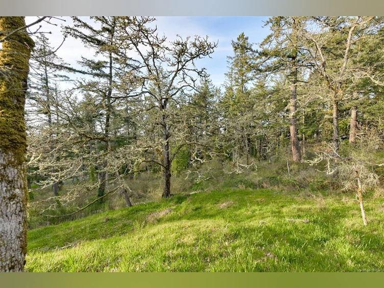 6587 West Saanich Road, Central Saanich, BC, V8M 1W8 - 58