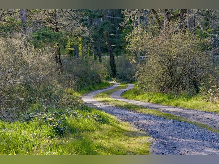 6587 West Saanich Road, Central Saanich, BC, V8M 1W8 - 53