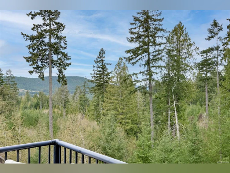 1116 Fitzgerald Road, Shawnigan Lake, BC, V0R 2W3 - 32