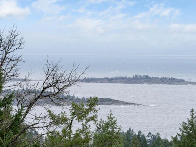 7297 Aulds Road - 3