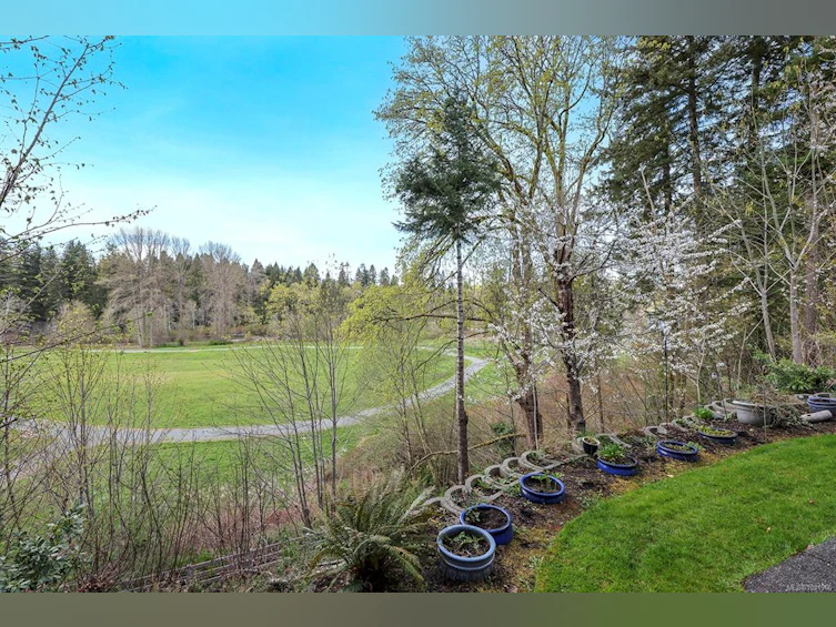 325 Harmston Avenue, Courtenay, BC, V9N 2X1 - 21